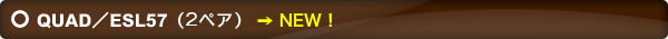 機種見出し.png